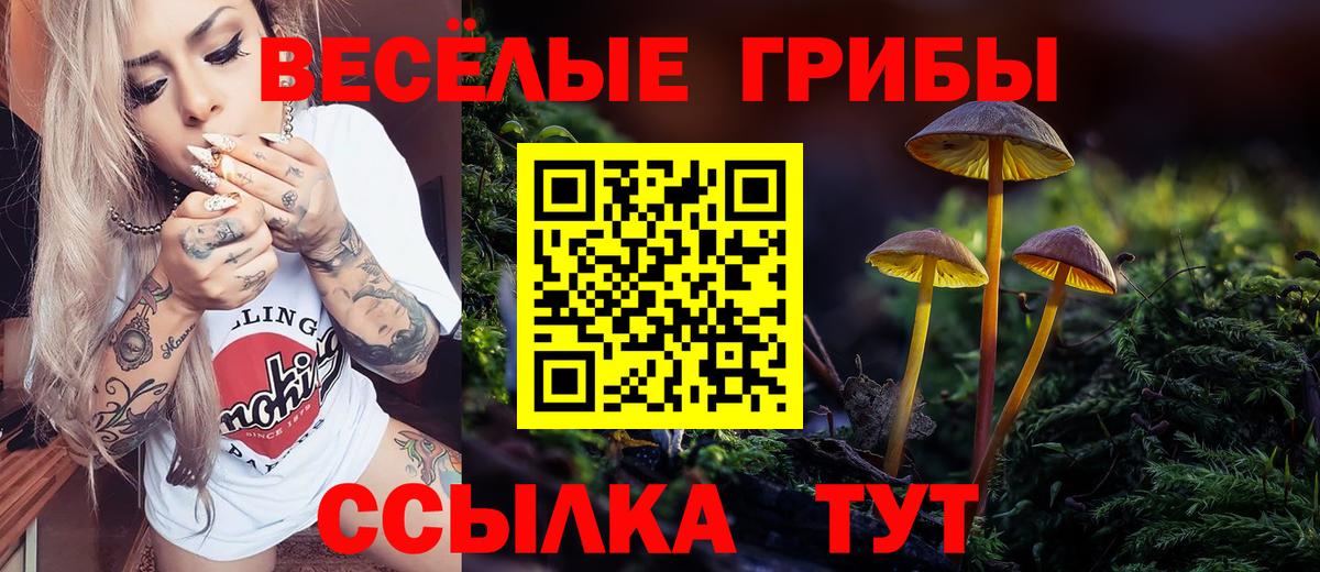Псилоцибиновые грибы Cubensis  Галлюциногенные грибы прущие грибы  Владимир  Вход с VPN 