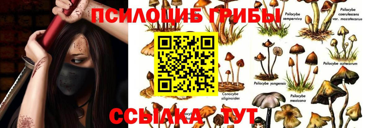 Владимир  Вход с VPN  Меф МЯУ МЯУ кристаллы  ГАШ  ГАШИШ  NBOMe 