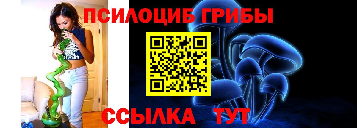 Псилоцибиновые грибы мицелий Владимир